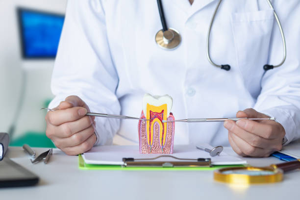Best Emergency Root Canal Treatment in Cheverly, MD